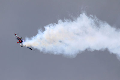 841 Meeting aerien de la Ferte Alais 2019 - IMG_1420 DxO Pbase.jpg