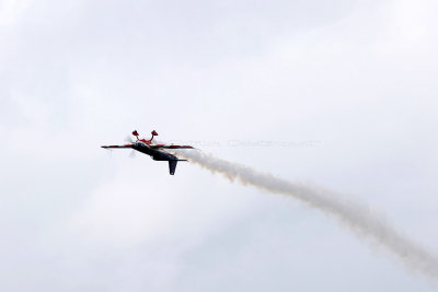 845 Meeting aerien de la Ferte Alais 2019 - IMG_1424 DxO Pbase.jpg