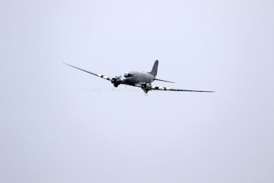 909 Meeting aerien de la Ferte Alais 2019 - IMG_1489 DxO Pbase.jpg
