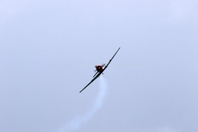 1030 Meeting aerien de la Ferte Alais 2019 - IMG_1610 DxO Pbase.jpg