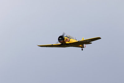986 Meeting aerien de la Ferte Alais 2019 - IMG_1566 DxO Pbase.jpg