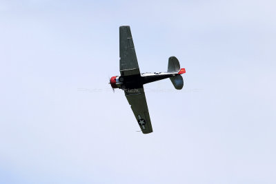 1032 Meeting aerien de la Ferte Alais 2019 - IMG_1612 DxO Pbase.jpg