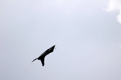 1523 Meeting aerien de la Ferte Alais 2019 - IMG_2130 DxO Pbase.jpg