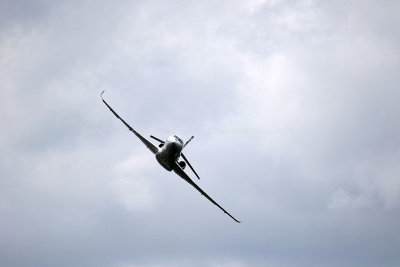 1627 Meeting aerien de la Ferte Alais 2019 - IMG_2239 DxO Pbase.jpg