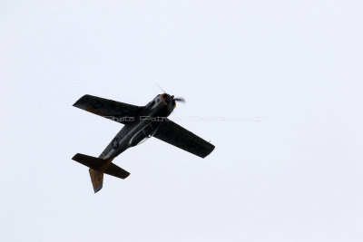1735 Meeting aerien de la Ferte Alais 2019 - IMG_2348 DxO Pbase.jpg