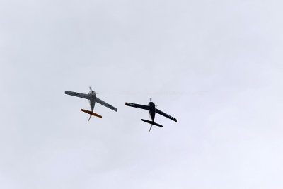 1740 Meeting aerien de la Ferte Alais 2019 - IMG_2354 DxO Pbase.jpg