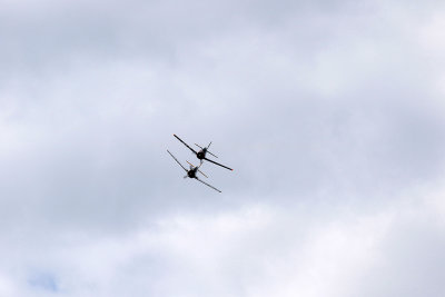 1749 Meeting aerien de la Ferte Alais 2019 - IMG_2363 DxO Pbase.jpg