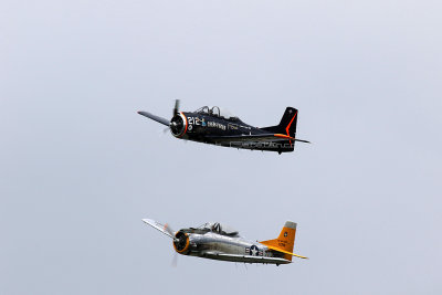 1755 Meeting aerien de la Ferte Alais 2019 - IMG_2369 DxO Pbase.jpg