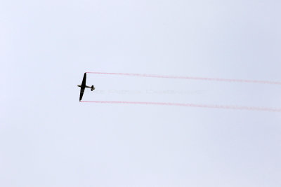 1829 Meeting aerien de la Ferte Alais 2019 - IMG_2446 DxO Pbase.jpg