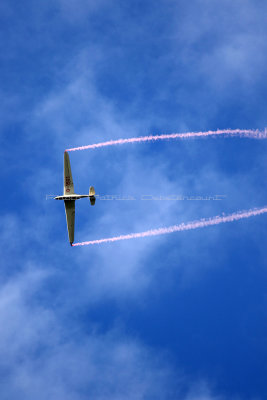 1845 Meeting aerien de la Ferte Alais 2019 - IMG_2462 DxO Pbase.jpg