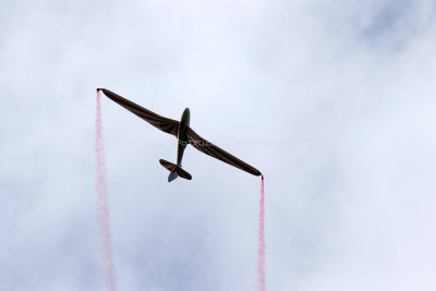 1861 Meeting aerien de la Ferte Alais 2019 - IMG_2478 DxO Pbase.jpg