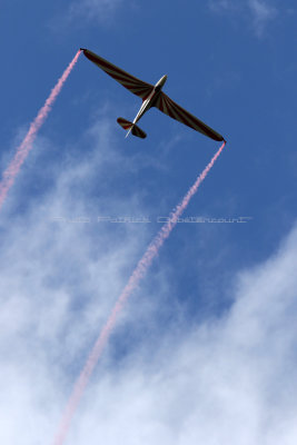 1862 Meeting aerien de la Ferte Alais 2019 - IMG_2479 DxO Pbase.jpg