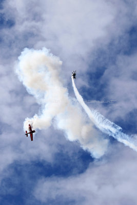 2096 Meeting aerien de la Ferte Alais 2019 - IMG_2719 DxO Pbase.jpg