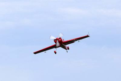 2130 Meeting aerien de la Ferte Alais 2019 - IMG_2753 DxO Pbase.jpg