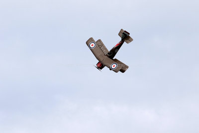 2145 Meeting aerien de la Ferte Alais 2019 - IMG_2768 DxO Pbase.jpg