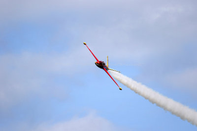 2302 Meeting aerien de la Ferte Alais 2019 - IMG_2925 DxO Pbase.jpg