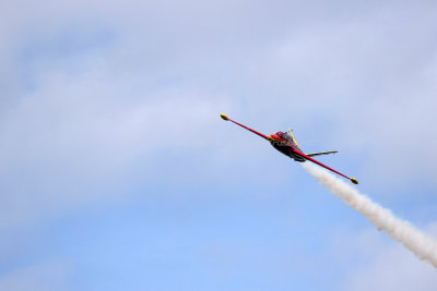 2303 Meeting aerien de la Ferte Alais 2019 - IMG_2926 DxO Pbase.jpg