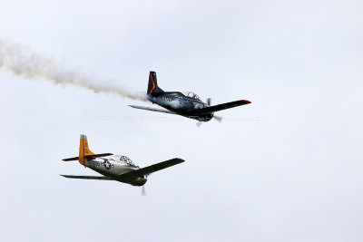 4373 Meeting aerien de la Ferte Alais 2019 - IMG_4988 DxO Pbase.jpg