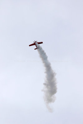 4416 Meeting aerien de la Ferte Alais 2019 - IMG_5032 DxO Pbase.jpg