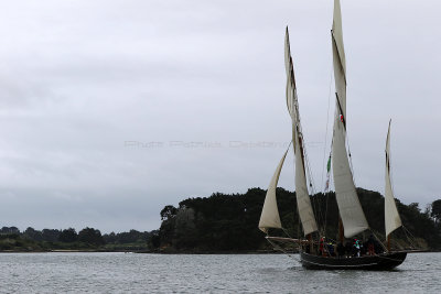 1184 Semaine du Golfe 2019 - IMG_8488 DxO Pbase.jpg