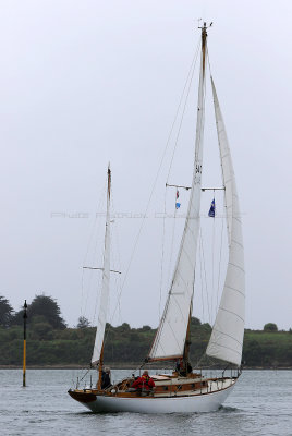 1215 Semaine du Golfe 2019 - IMG_8519 DxO Pbase.jpg