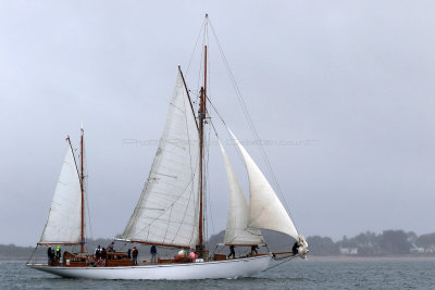 1266 Semaine du Golfe 2019 - IMG_8571 DxO Pbase.jpg