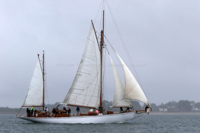 1267 Semaine du Golfe 2019 - IMG_8572 DxO Pbase.jpg