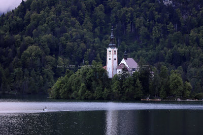 235 - Vacances en Croatie en mai 2019 - IMG_4593 DxO Pbase.jpg