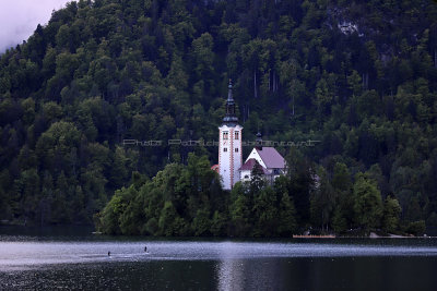 237 - Vacances en Croatie en mai 2019 - IMG_4595 DxO Pbase.jpg