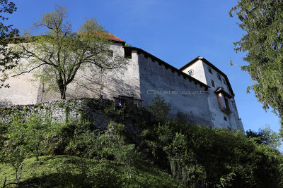 244 - Vacances en Croatie en mai 2019 - IMG_4602 DxO Pbase.jpg