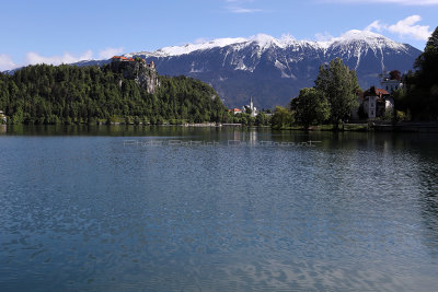 454 - Vacances en Croatie en mai 2019 - IMG_4824 DxO Pbase.jpg