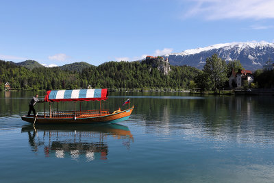 Slovénie - Découverte de la région de Bled, avec son lac et son château