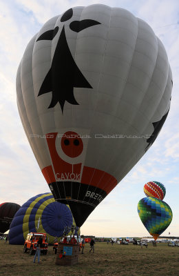 346 GEMAB 2019 - IMG_0121 DxO Pbase.jpg