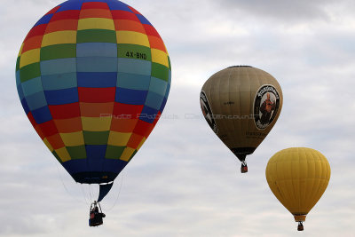 379 GEMAB 2019 - IMG_5635 DxO Pbase.jpg