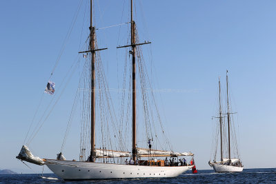 300 - Voiles de Saint tropez 2019 - Canon 7D - IMG_7573 DxO Pbase.jpg