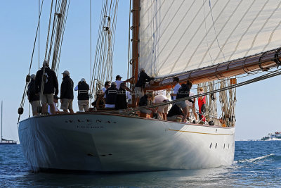 325 - Voiles de Saint tropez 2019 - Canon 7D - IMG_7591 DxO Pbase.jpg