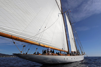 336 - Voiles de Saint tropez 2019 - IMG_8994 DxO Pbase.jpg