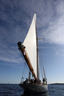 338 - Voiles de Saint tropez 2019 - IMG_8997 DxO Pbase.jpg