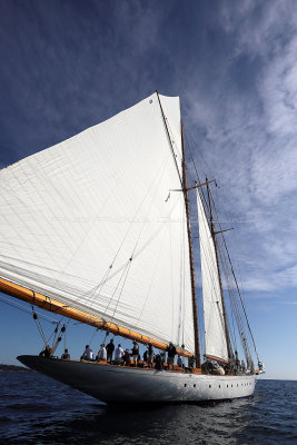 356 - Voiles de Saint tropez 2019 - IMG_9019 DxO Pbase.jpg