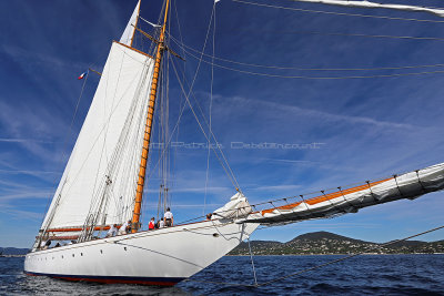 359 - Voiles de Saint tropez 2019 - IMG_9025 DxO Pbase.jpg