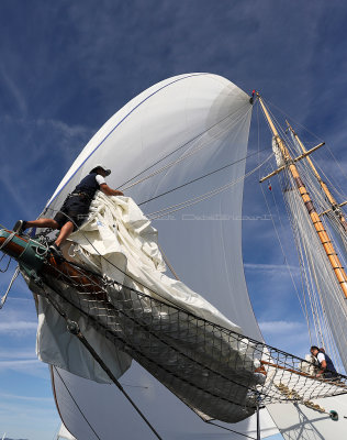 382 - Voiles de Saint tropez 2019 - IMG_9039 DxO Pbase.jpg