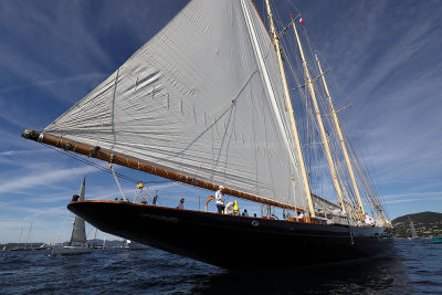 429 - Voiles de Saint tropez 2019 - IMG_9092 DxO Pbase.jpg