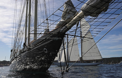 432 - Voiles de Saint tropez 2019 - IMG_9099 DxO Pbase.jpg