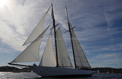 442 - Voiles de Saint tropez 2019 - IMG_9117 DxO Pbase.jpg