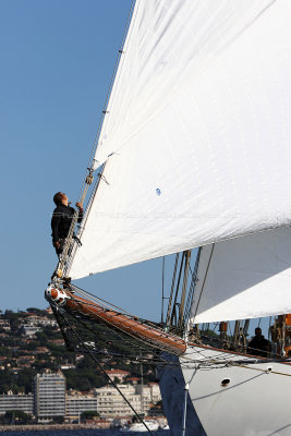 483 - Voiles de Saint tropez 2019 - Canon 7D - IMG_7630 DxO Pbase.jpg