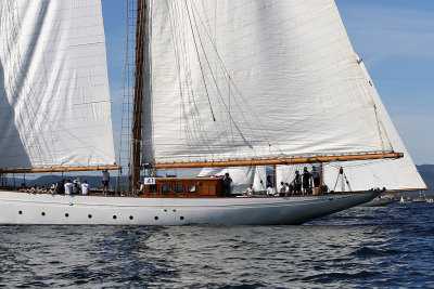 528 - Voiles de Saint tropez 2019 - Canon 7D - IMG_7669 DxO Pbase.jpg