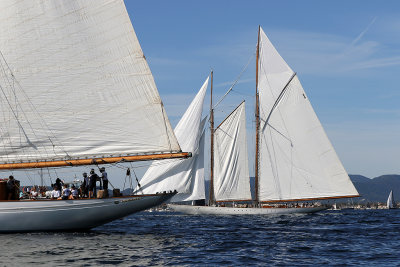 530 - Voiles de Saint tropez 2019 - Canon 7D - IMG_7672 DxO Pbase.jpg