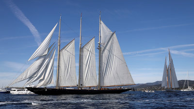 533 - Voiles de Saint tropez 2019 - IMG_9156 DxO Pbase.jpg