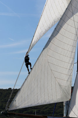 542 - Voiles de Saint tropez 2019 - Canon 7D - IMG_7683 DxO Pbase.jpg