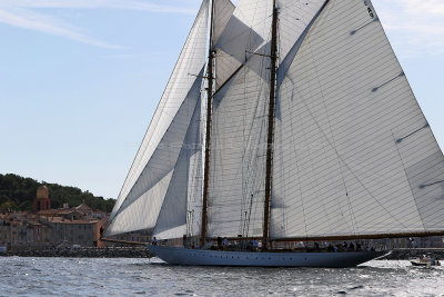 563 - Voiles de Saint tropez 2019 - Canon 7D - IMG_7702 DxO Pbase.jpg